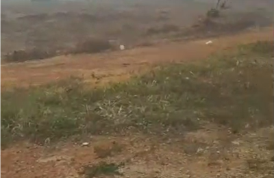 Terrains à Songon M'Bratté