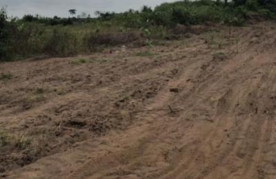 Terrains 300 M2 - Eloka-To